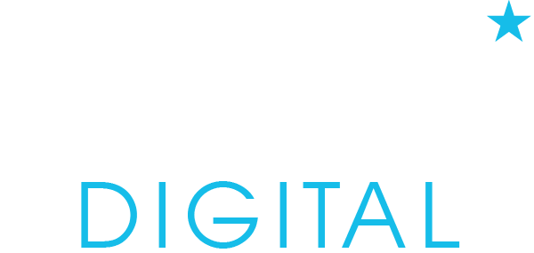 Hochi Digital Marketing Agency Logo